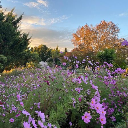 Melbourne Garden Bed And Breakfast Melton Εξωτερικό φωτογραφία