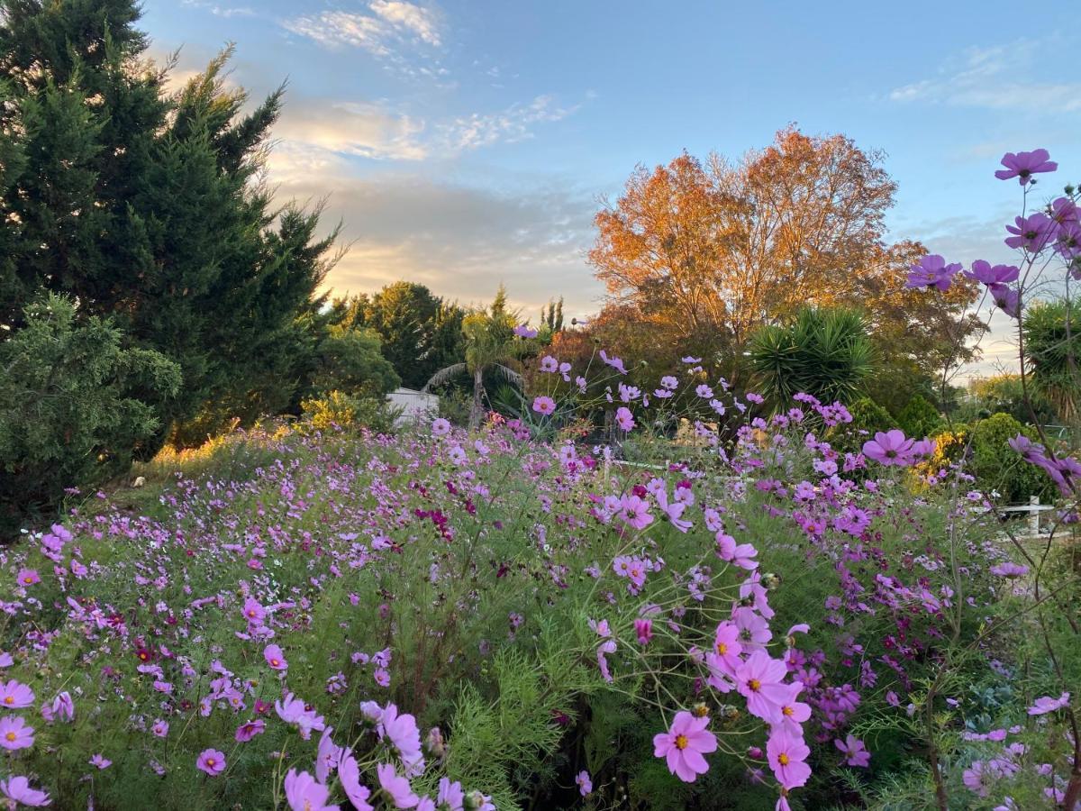 Melbourne Garden Bed And Breakfast Melton Εξωτερικό φωτογραφία